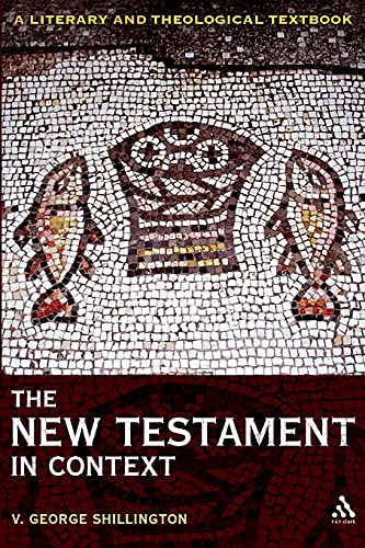 9780567034052: The New Testament in Context: A Literary and Theological Textbook
