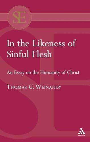 9780567042132: In the Likeness of the Sinful Flesh: An Essay on the Humanity of Christ