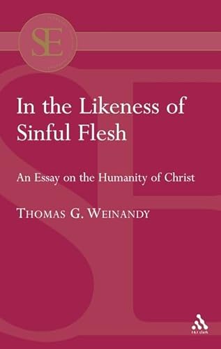 9780567042132: In the Likeness of the Sinful Flesh: An Essay on the Humanity of Christ