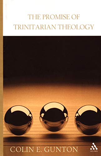 Stock image for Promise of Trinitarian Theology for sale by WorldofBooks