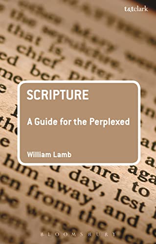 Stock image for Scripture: A Guide for the Perplexed for sale by Kennys Bookshop and Art Galleries Ltd.