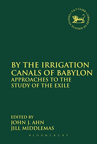 Beispielbild fr By the Irrigation Canals of Babylon: Approaches To The Study Of The Exile (The Library of Hebrew Bible/Old Testament Studies) zum Verkauf von Chiron Media