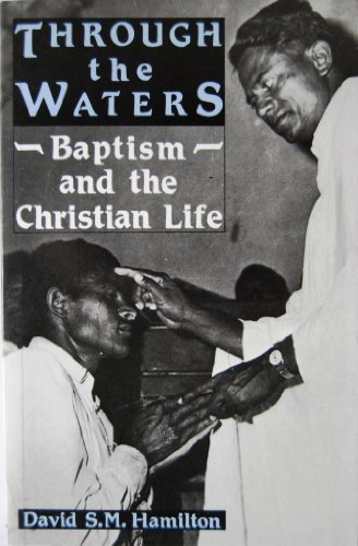 9780567291783: Through the Waters: Baptism and the Christian Life