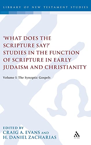 Stock image for 'What Does the Scripture Say?' Studies in the Function of Scripture in Early Judaism and Christianity, Volume 1: Volume 1: The Synoptic Gospels (The Library of New Testament Studies) for sale by CARDINAL BOOKS  ~~  ABAC/ILAB