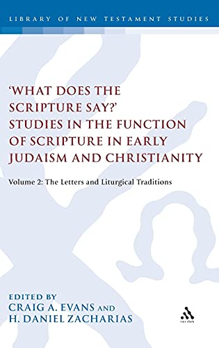 9780567387165: What Does the Scripture Say?: Studies in the Function of Scripture in Early Judaism and Christianity, the Letters and Liturgical Traditions (2)