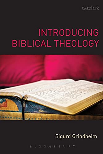 9780567456878: Introducing Biblical Theology