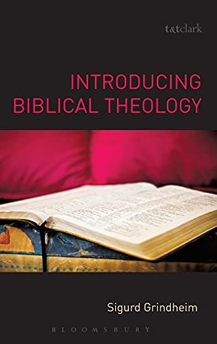 Stock image for Introducing Biblical Theology for sale by Ria Christie Collections