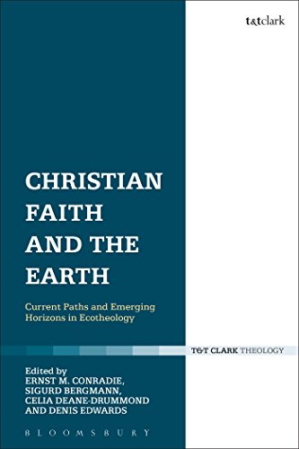 Imagen de archivo de Christian Faith and the Earth Current Paths and Emerging Horizons in Ecotheology a la venta por Michener & Rutledge Booksellers, Inc.