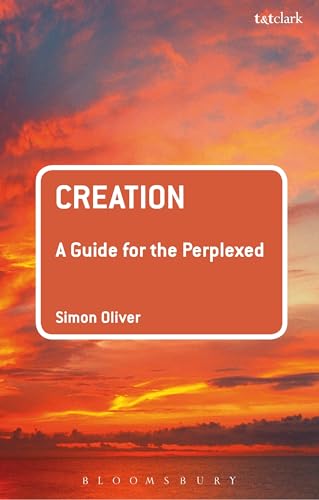 9780567656087: Creation: A Guide for the Perplexed (Guides for the Perplexed)