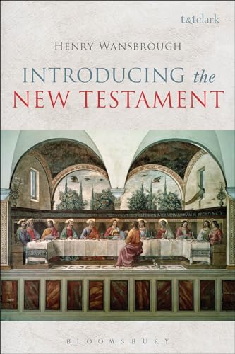 Beispielbild fr Introducing the New Testament zum Verkauf von Better World Books