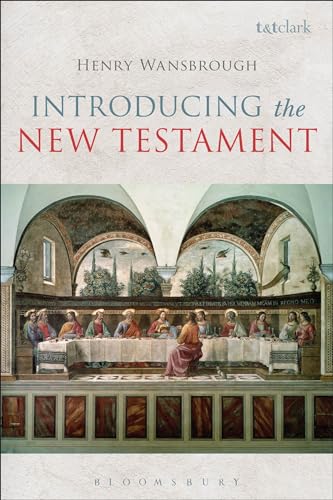 Imagen de archivo de Introducing the New Testament a la venta por Mount Angel Abbey Library