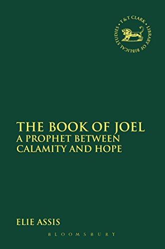 Imagen de archivo de The Book of Joel: A Prophet between Calamity and Hope (The Library of Hebrew Bible/Old Testament Studies, 581) a la venta por HPB-Red