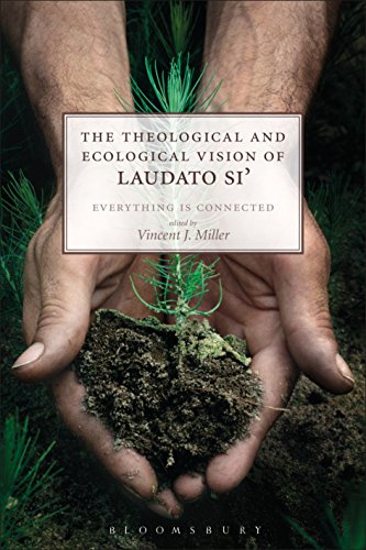 Stock image for The Theological and Ecological Vision of Laudato Si' for sale by Blackwell's