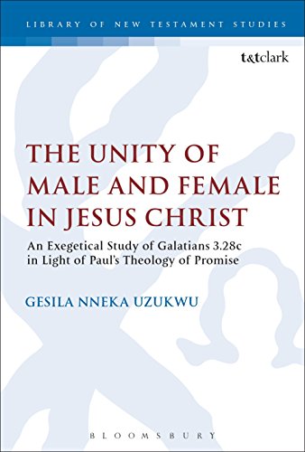 Imagen de archivo de The Unity of Male and Female in Jesus Christ: An Exegetical Study of Galatians 3.28c in Light of Paul's Theology of Promise a la venta por Revaluation Books