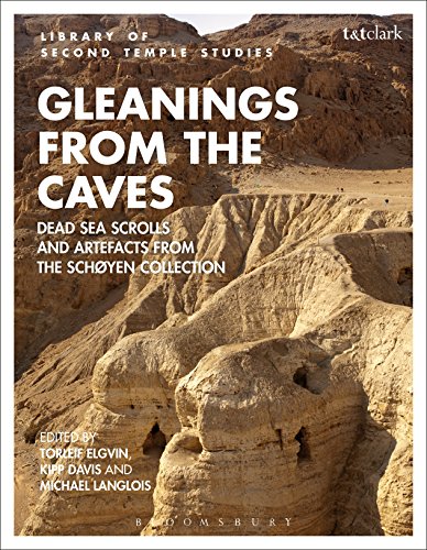 Imagen de archivo de Gleanings from the Caves Dead Sea Scrolls and Artefacts from the Schyen Collection The Library of Second Temple Studies a la venta por PBShop.store US