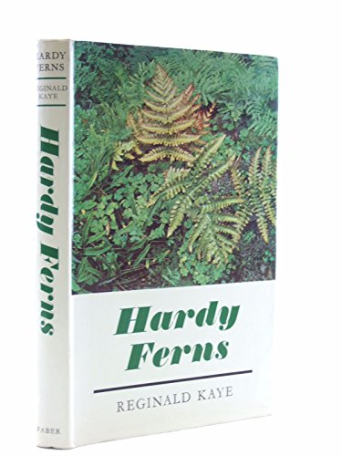Hardy Ferns