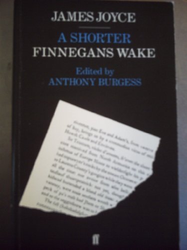 9780571108077: Finnegans Wake