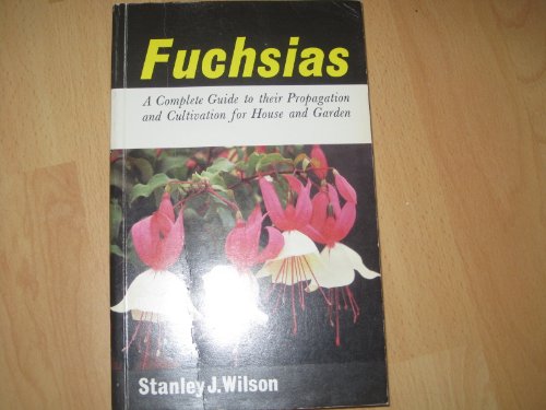 Fuchsias