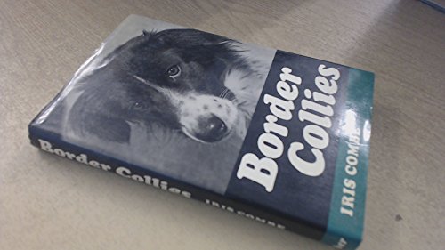 9780571111732: Border Collies