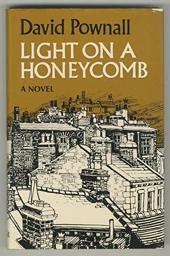 Stock image for Light on a Honeycomb. A Novel for sale by The Print Room