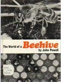 The World of a Beehive