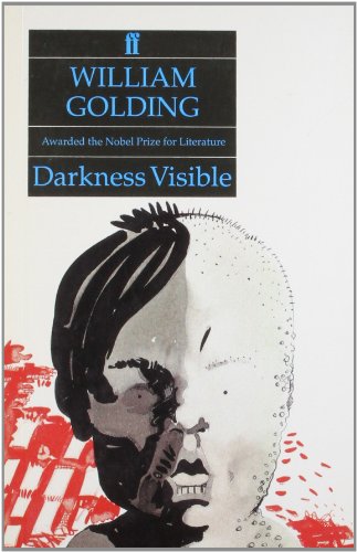 Imagen de archivo de Darkness Visible a la venta por Better World Books