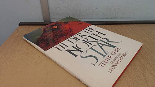 Stock image for Under the North Star for sale by WorldofBooks