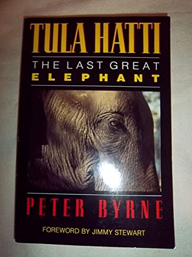9780571129249: Tula Hatti: The Last Great Elephant