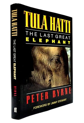 9780571129423: Tula Hatti: The Last Great Elephant
