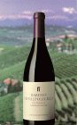 9780571178520: Barolo to Valpolicella: the Wines of nor