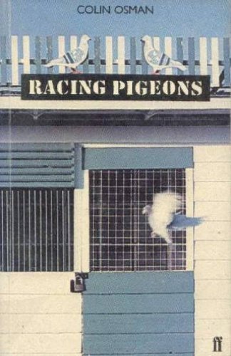 9780571180011: Racing Pigeons