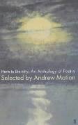 9780571215652: Here to Eternity : An Anthology of Poetry