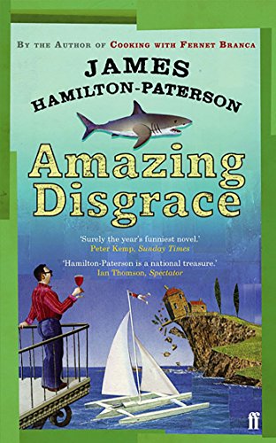 Stock image for Amazing Disgrace for sale by ThriftBooks-Dallas