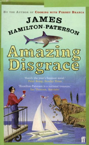 Stock image for Amazing Disgrace for sale by WorldofBooks