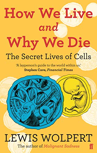 Imagen de archivo de How We Live and Why We Die: the secret lives of cells a la venta por WorldofBooks