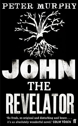 Beispielbild fr John the Revelator zum Verkauf von WorldofBooks