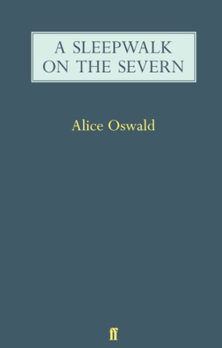 9780571247561: A Sleepwalk on the Severn
