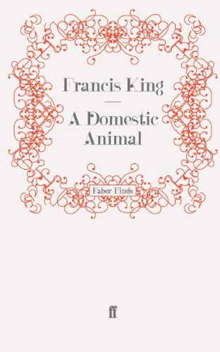 9780571253678: A Domestic Animal