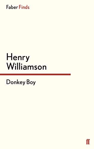 9780571271085: Donkey Boy