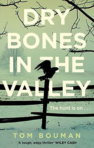 Beispielbild fr Dry Bones in the Valley zum Verkauf von WorldofBooks