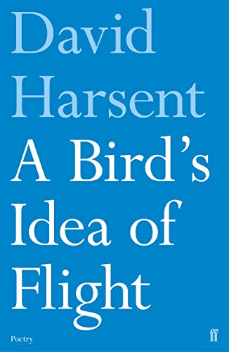 Imagen de archivo de A Bird's Idea of Flight a la venta por ThriftBooks-Atlanta