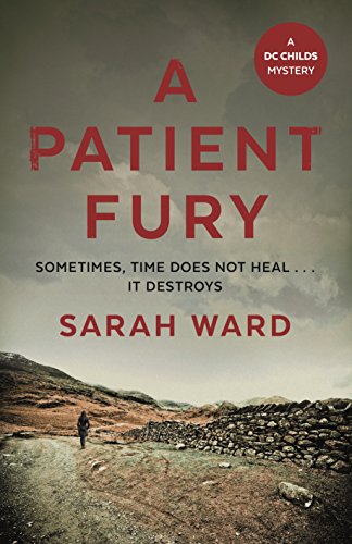 9780571332328: A Patient Fury: Sarah Ward (DC Childs mystery)