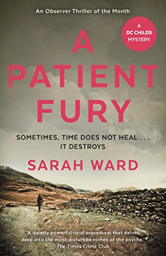 9780571332335: A Patient Fury (DC Childs mystery)
