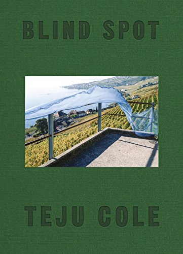9780571335015: Blind spot: Teju Cole