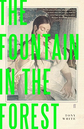 Stock image for The Fountain in the Forest for sale by WorldofBooks