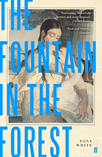 Stock image for The Fountain in the Forest for sale by WorldofBooks