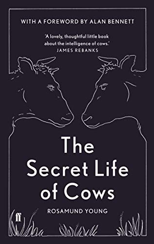 Beispielbild fr The Secret Life of Cows: Rosamund Young zum Verkauf von WorldofBooks