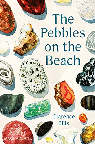 Stock image for The Pebbles on the Beach for sale by Blackwell's