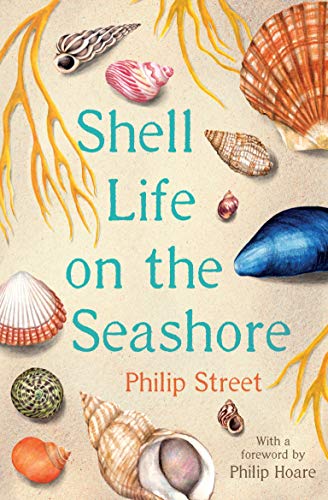 Imagen de archivo de Shell Life on the Seashore a la venta por Blackwell's