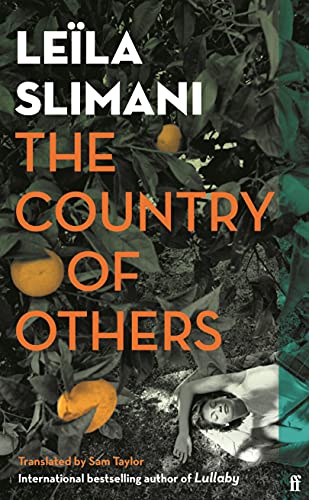 9780571361618: The Country of Others